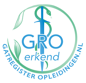 Energy Healing Reiki Course Utrecht Accredited Association